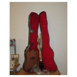 Guitar Case and Parts