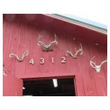 Antlers
