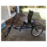 Adult Tricycle DX7 Good condition! 