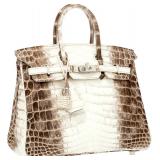 Hermes Birkin Bag Himalayan Crocodile 35cm 