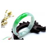Lot #8101 Jadeite Jade Bangle - GIA Certified