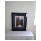 Horse head in pastel