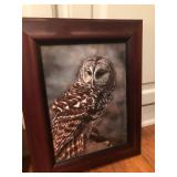 Owl Framed Print - Bonnie Latham
