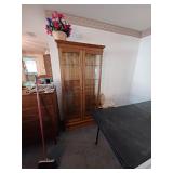 Large Curio/display case