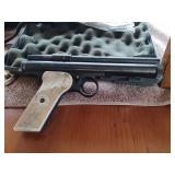 Crosman Pellet Gun