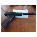 Daisy Pellet Gun