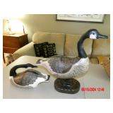 wood ducks