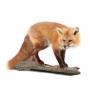 Fashion, Decor, Taxidermy & More