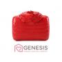 Genesis womens shelter charity auction
