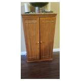 DVD & VHS Cabinet
