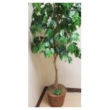 $25 Fica Tree, 6
