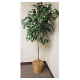 $25 Fica Tree, 6