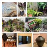 South Tampa Small Auction - ends Jan 12