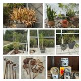 Davis Islands Small Sale (33606) - ends 2/24, pickup 2/26