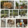 Davis Islands Small Sale (33606) - ends 2/24, pickup 2/26