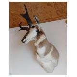 Rugged & Rare: Tools, Armory Finds, Outdoor Essentials, Antiques & More! 