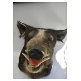 Antique Event Under the Tent