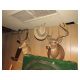 Deer Heads