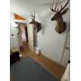 EVERYTHING MUST GO! BRING OFFERS! HELP OUR FRIEND EMPTY THE HOUSE!