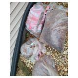 Roaring Ruger Estate Sale by S&H