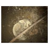 MASSIVE FARMHOUSE 3 DAY ESTATE SALE 9/27-9/29 