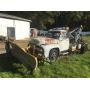 TREASURE ME IN MULLICA HILL- TURKEY SCRAPS -PICKER STYLE-3 DAY ESTATE SALE 