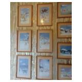 South American Water Colors 