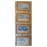 South American Water Colors 