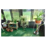 Plants all for sale folks