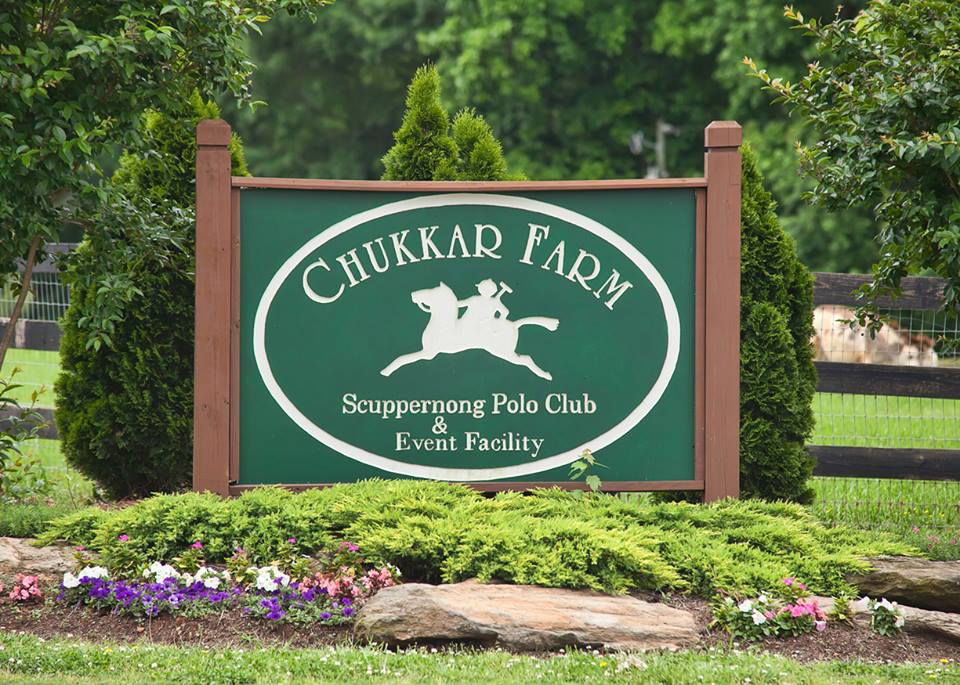 trickers polo chukka