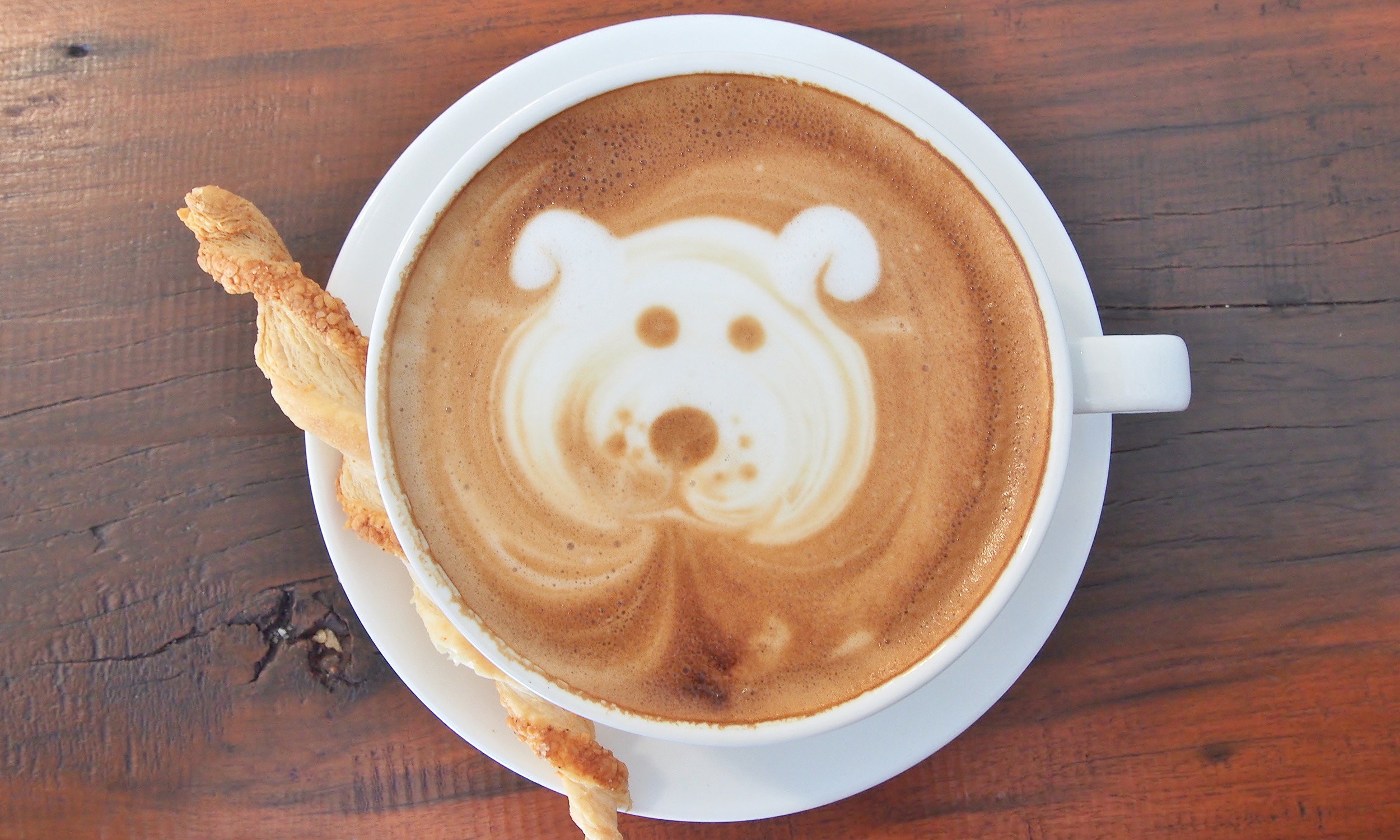 The Cutest Latte Art Dogs of Instagram Extra Crispy