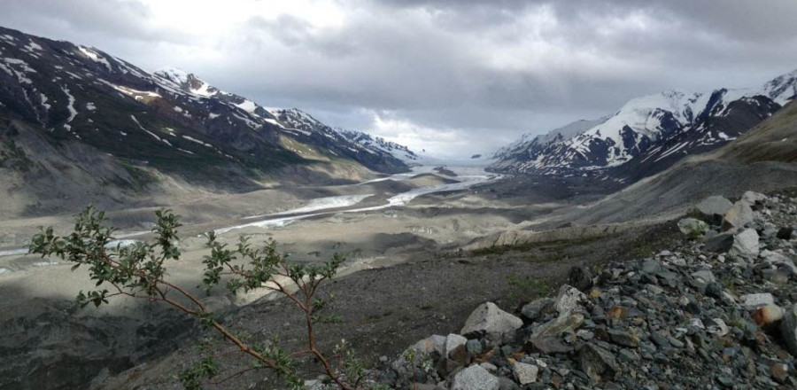 Canwell Glacier Trip Report