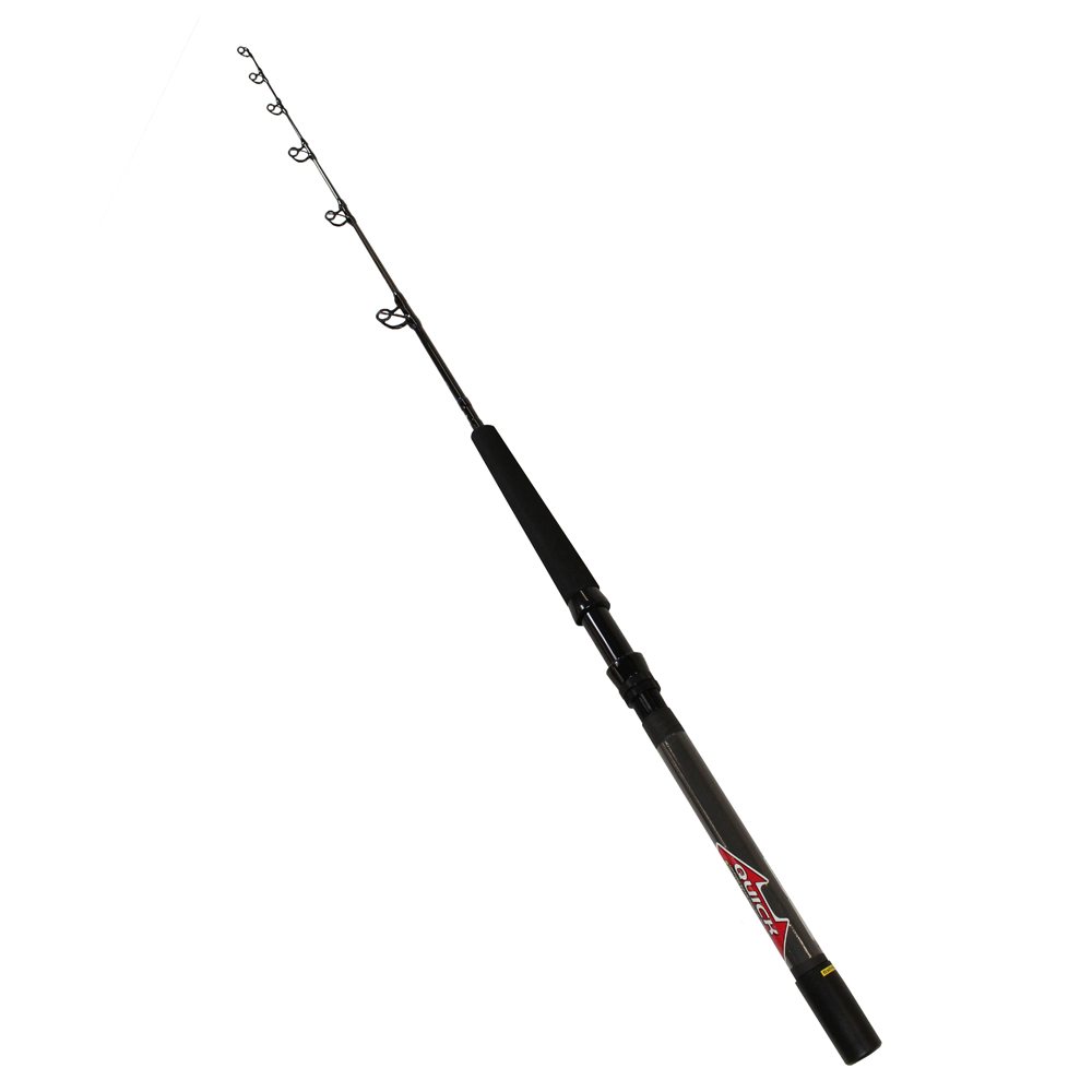 Daiwa Saltiga SAG59XHFQ Fishing Rod 43178219256 eBay