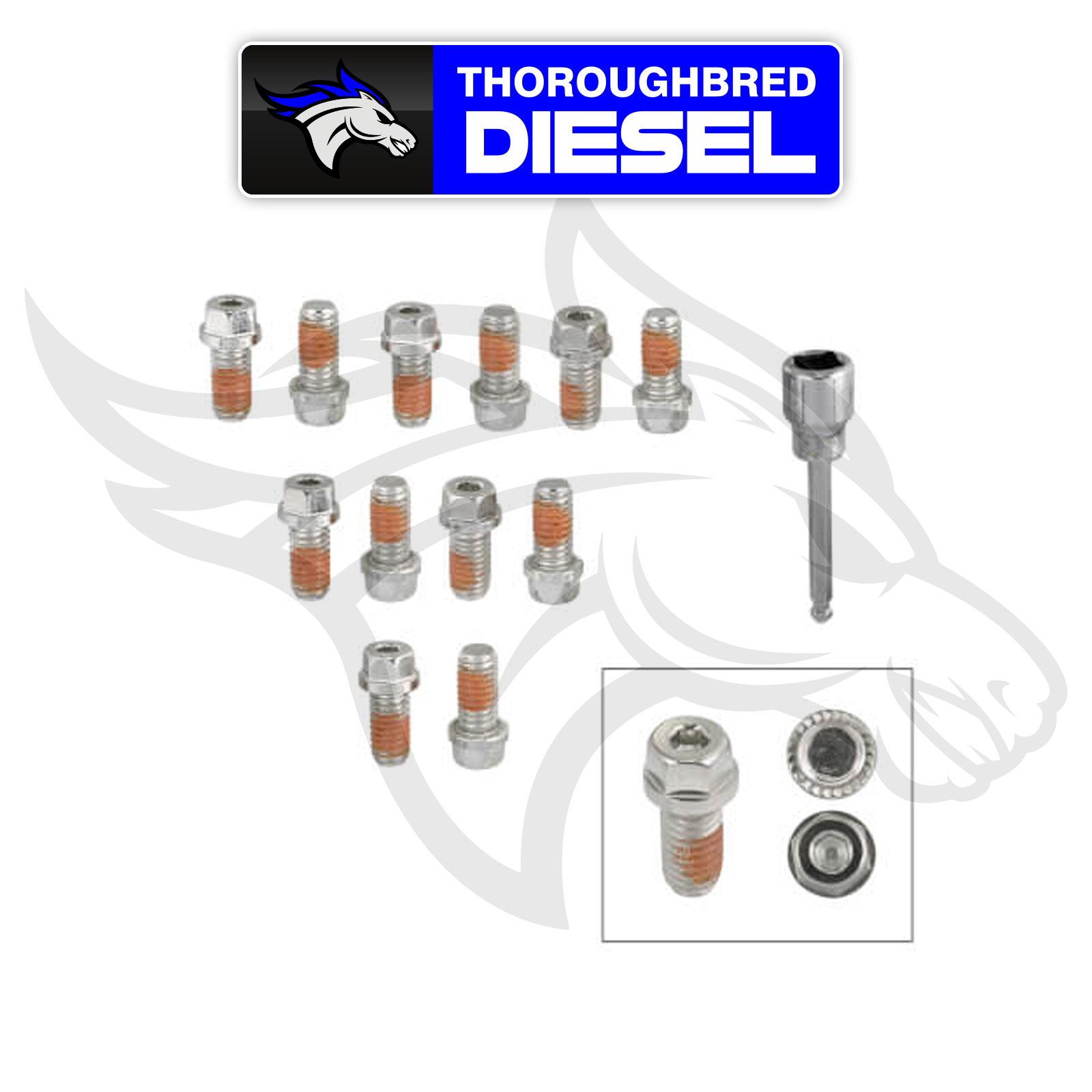 2230G HeadLock Locking Header Bolts GASKET CO MR Stainless Steel