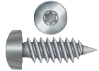 Torx Drive Self-Tapping / Sheet Metal Screws
