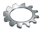 External Tooth Lock Washers