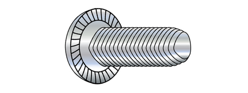 6-32 x 5/16" Trilobe Thread Forming Screws for Metal / Phillips / Pan Head / Steel / Zinc / Serrated