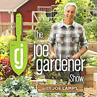 The joe gardener Show - Organic Gardening - Vegetable Gardening - Expert Garden Advice From Joe Lamp'l