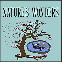 Nature’s Wonders