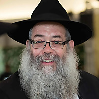 The Rebbe's advice  - Rabbi Chaim Wolosow