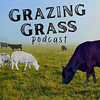 Grazing Grass Podcast sharing Regenerative Ag Stories