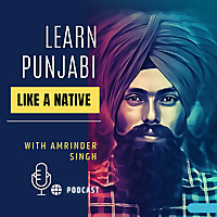 Learn Punjabi Like A Native