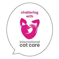 Chattering with iCatCare