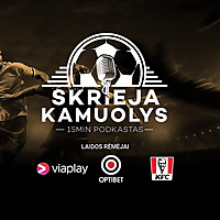 Skrieja kamuolys