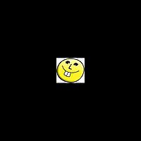 Funny Videos
