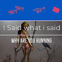 I SAID WHAT I SAID - WHY ARE YOU RUNNING