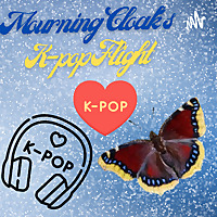 Mourning Cloak's K-pop Flight