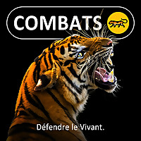 Combats