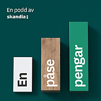 En påse pengar