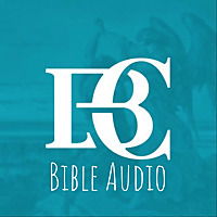 Bible Audio